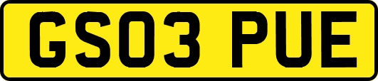 GS03PUE