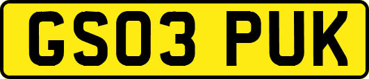 GS03PUK