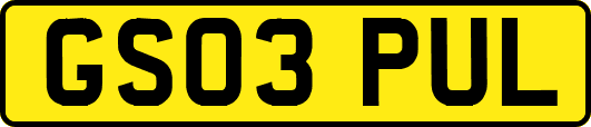 GS03PUL