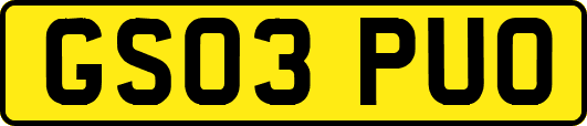 GS03PUO