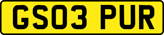 GS03PUR