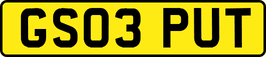 GS03PUT