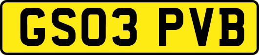 GS03PVB