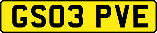 GS03PVE