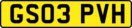 GS03PVH