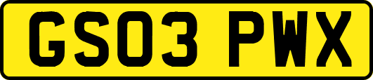 GS03PWX