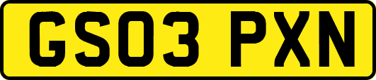 GS03PXN