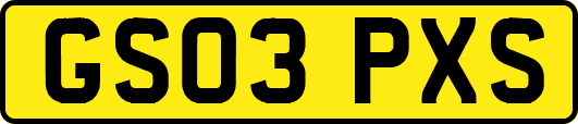 GS03PXS