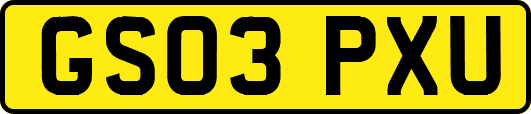 GS03PXU