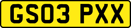 GS03PXX
