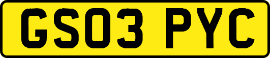 GS03PYC