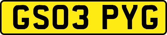 GS03PYG