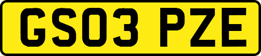GS03PZE