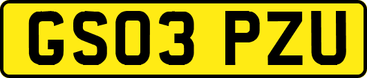 GS03PZU