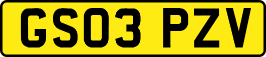 GS03PZV