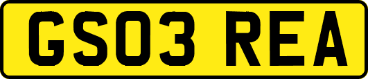 GS03REA