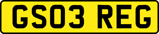 GS03REG