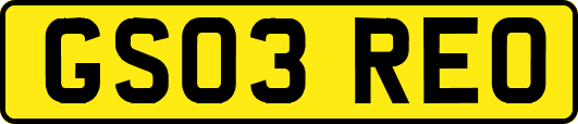 GS03REO