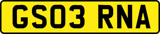 GS03RNA