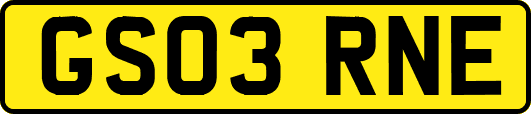 GS03RNE