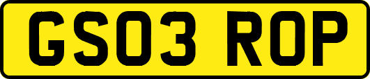 GS03ROP