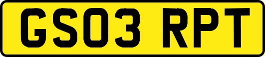 GS03RPT