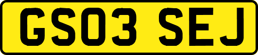GS03SEJ