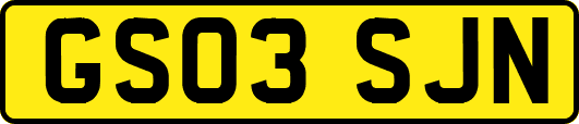 GS03SJN
