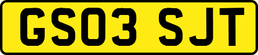 GS03SJT