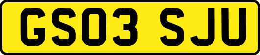 GS03SJU