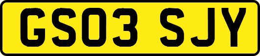 GS03SJY
