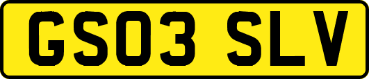 GS03SLV