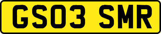 GS03SMR
