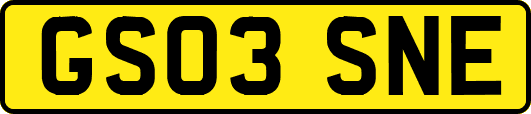 GS03SNE