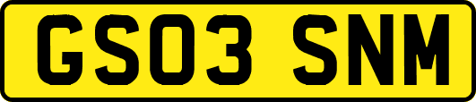 GS03SNM