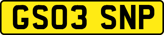 GS03SNP