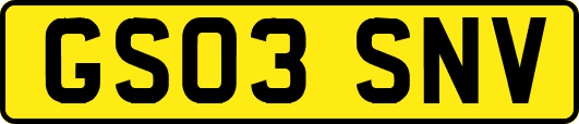 GS03SNV