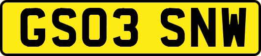 GS03SNW