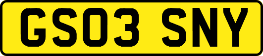 GS03SNY