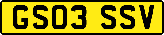 GS03SSV