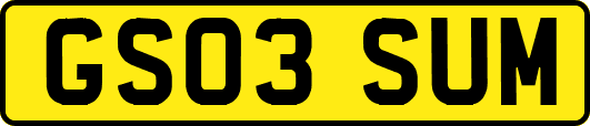 GS03SUM