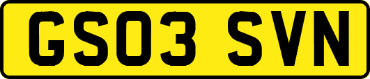 GS03SVN