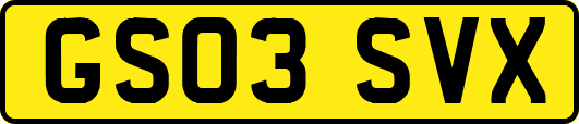 GS03SVX