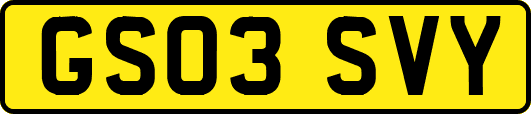 GS03SVY
