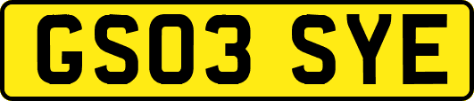 GS03SYE