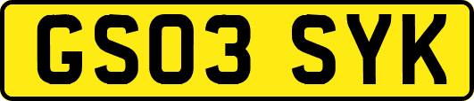 GS03SYK
