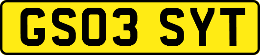 GS03SYT