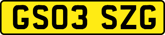 GS03SZG