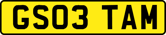 GS03TAM