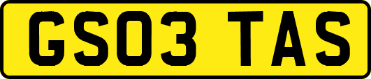 GS03TAS